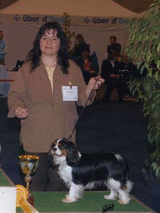 Description&nbsp;: Description&nbsp;: Description&nbsp;: Description&nbsp;: Description&nbsp;: stallonebob3groupefribourg-2009
