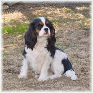 Description&nbsp;: Description&nbsp;: Description&nbsp;: Description&nbsp;: Description&nbsp;: ophelia10