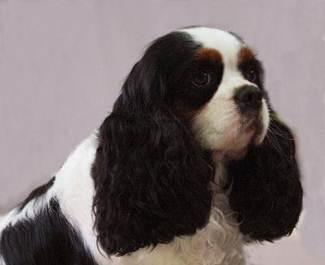 Description&nbsp;: Description&nbsp;: Description&nbsp;: Description&nbsp;: Description&nbsp;: Description&nbsp;: kingsley20mois3